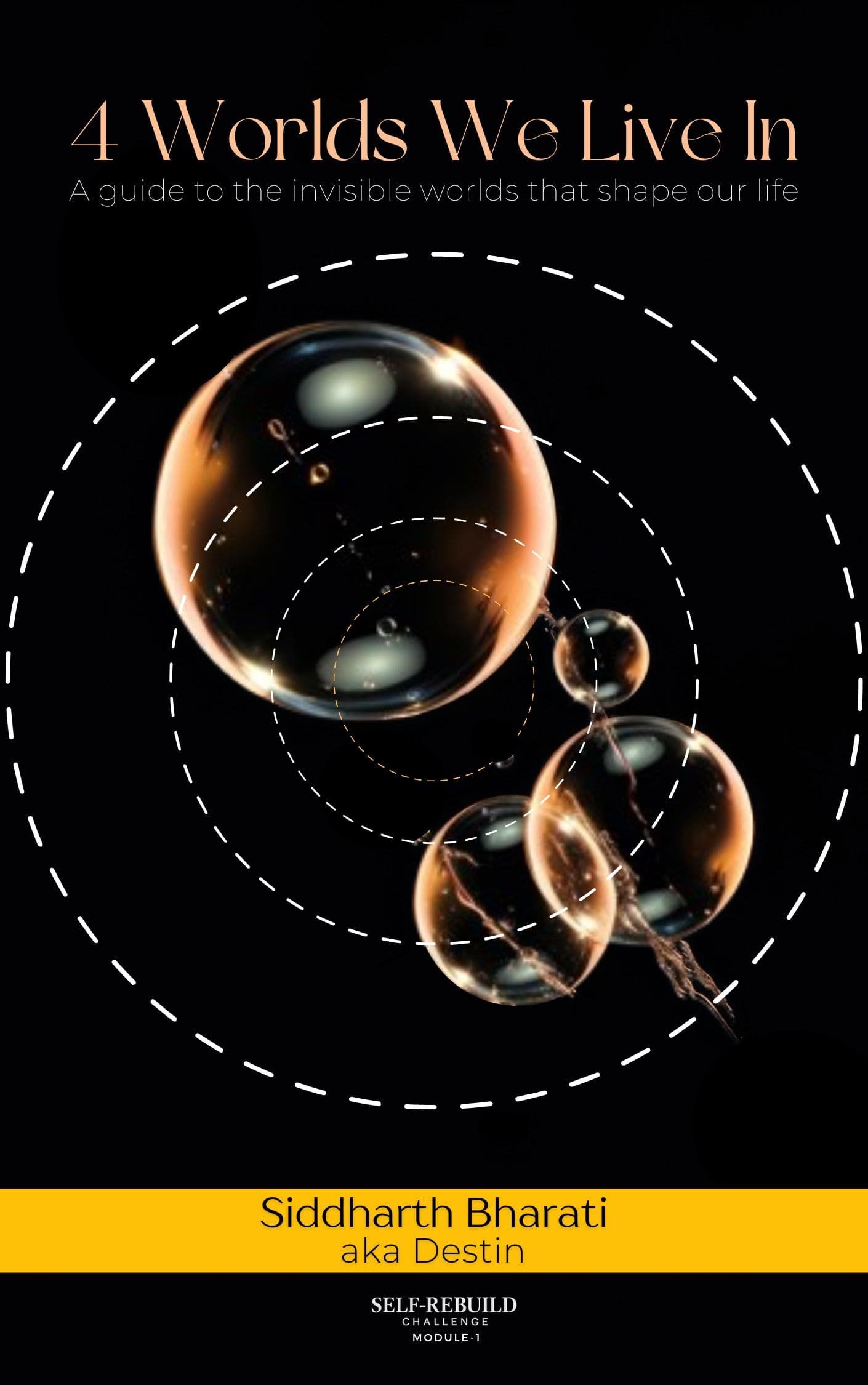 4 Worlds We Live In book cover